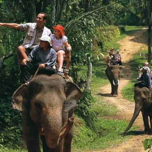 Elephant ride experience in Bali